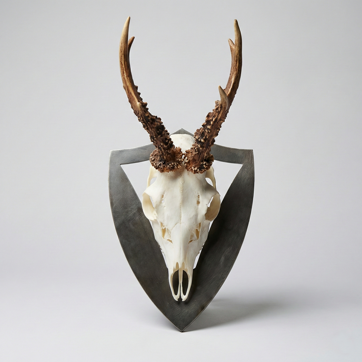 Steinspitz – Jagd Trophäenschild – Jagdtrophäenschild aus Metall